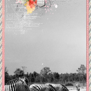 2017-06_June-TLP_Scraplift-ArmyGirl_web