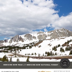 Medicine Bow (left side)
