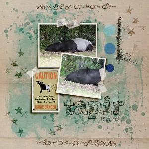 Tapir