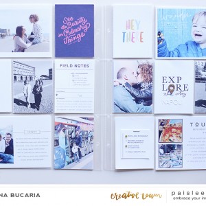 Paislee-TourGuide-projectbyLoredanaBucaria