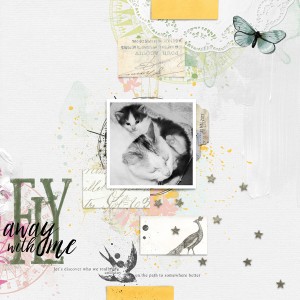 Fly away with me