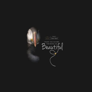 Inspiration Challenge - June 17