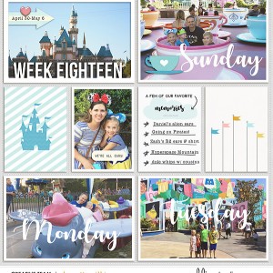 2017 week 18, left side