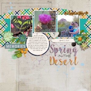 Spring in the Desert