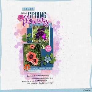 20170611_Spring flowers