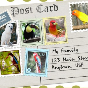 ATC-2017-95-By-Air-Mail