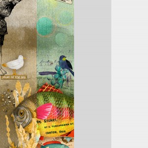 2017-06_June-TLP_AJ_2Ephemera-Sea_web