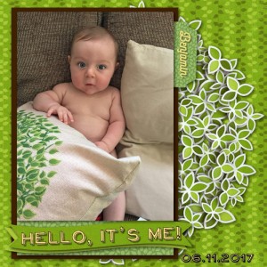 2017 06 11 Hello It's Me 250kb
