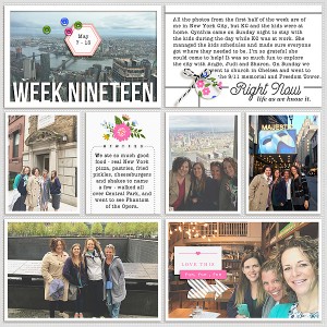 2017 week 19 - left side
