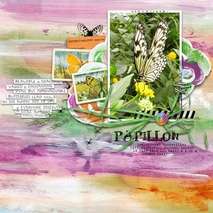 papillon