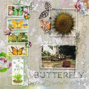 Butterfly