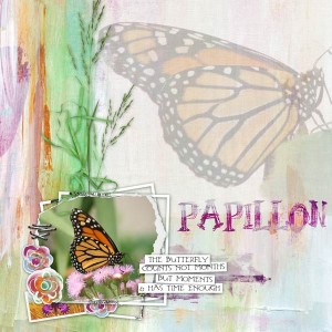 Papillon