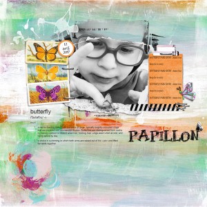Papillon