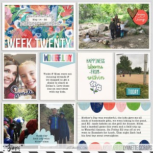 2017 week 20, left side