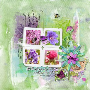 All the flowers