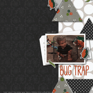 Christian-bug-trap-web