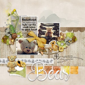 Little Lost Bear