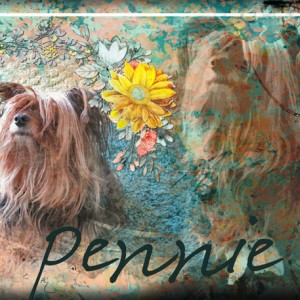Pennie
