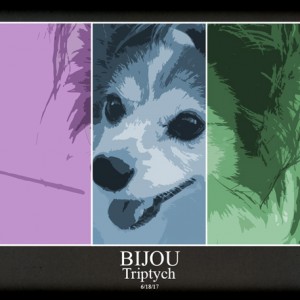 June Weekly Focus Challenge - Technique: Photo Filters - ATC-2017-104-Bijou-Triptych