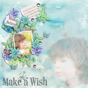 Make-a-Wish