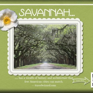June Weekly Focus Challenge - Technique: QR Code - ATC-2017-105-Savannah