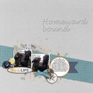 Homeward Bound (Custom)