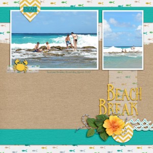Beach Break