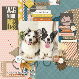 Wag More Bark Less