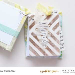 Paislee-JuneProject-soinloveminialbum_page1_byLoredanaBucaria