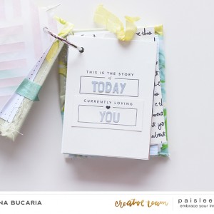 Paislee-JuneProject-soinloveminialbum-page2-byLoredanaBucaria