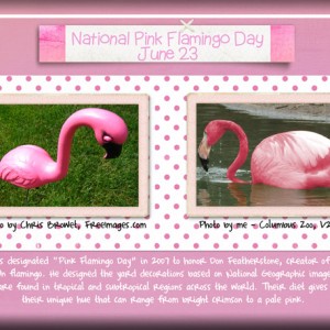 June Weekly Focus Challenge - Technique: Burn Tool - ATC-2017-108-Pink-Flamingo