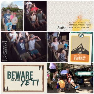 Animal Kingdom: Expedition Everest