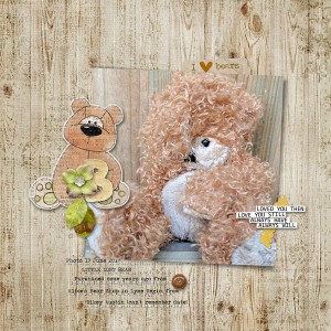 Little Lost Bear