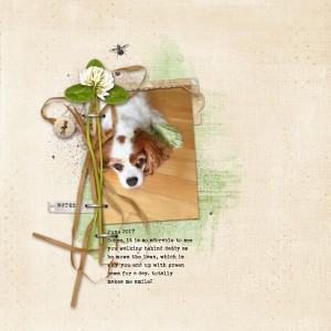 ...green paws
