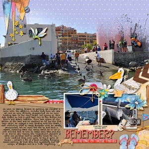 Pelicans