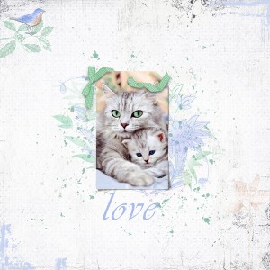Kittens by Christina A.
