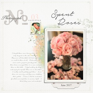 Spent Roses