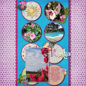 Random June 2017