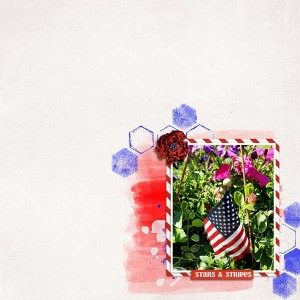 Stars and Stripes