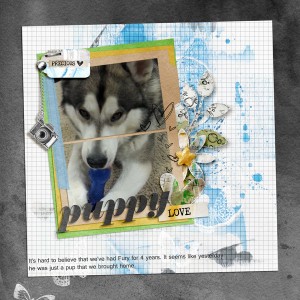 Puppy Love - MIS July 1st