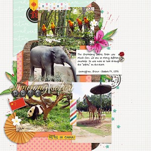 Chimelong Safari Park
