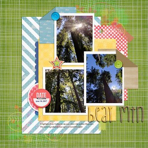 SwL July MIS.web