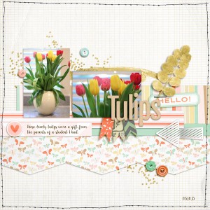 Tulips