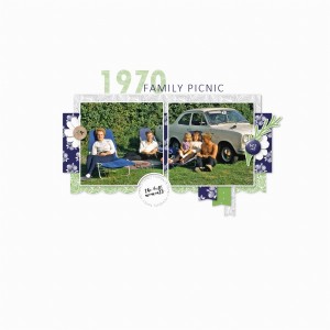 Summer Picnic
