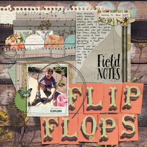 Flip Flops