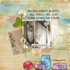 Kitty Jail