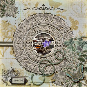SOSN 07.05.17_Ecology Fall Flower_londoncuppa