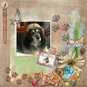 Dinskip_JunJul_template_Callenge_Lovable Pets_By_Lana_2017