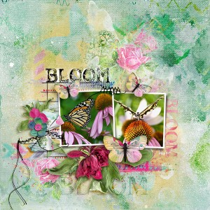 Bloom