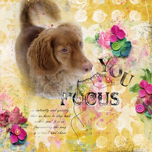 You Focus